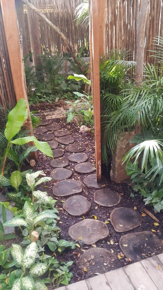 Recorrido paisajístico en Artia