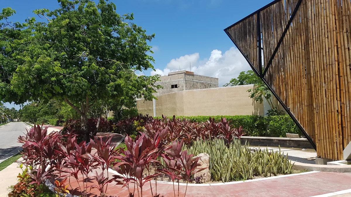 Caso Bosques de Bambú en Playacar: transformación paisajística documentada