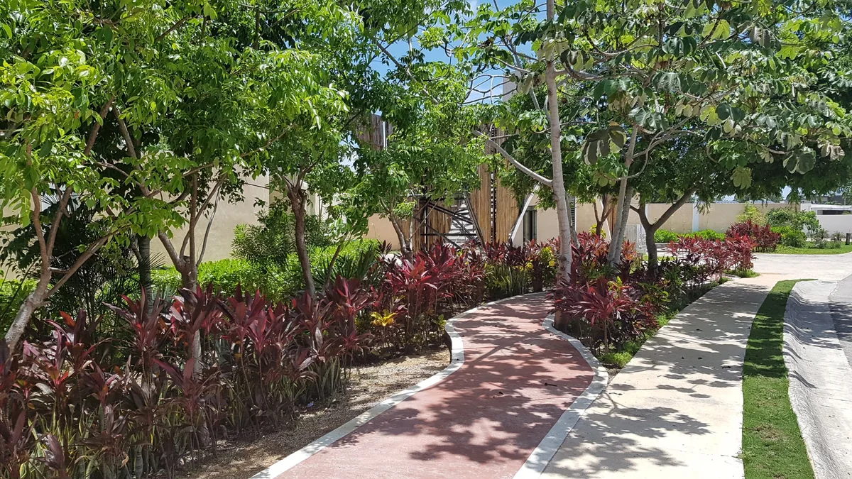 Segunda zona de Bosques de Bambú después