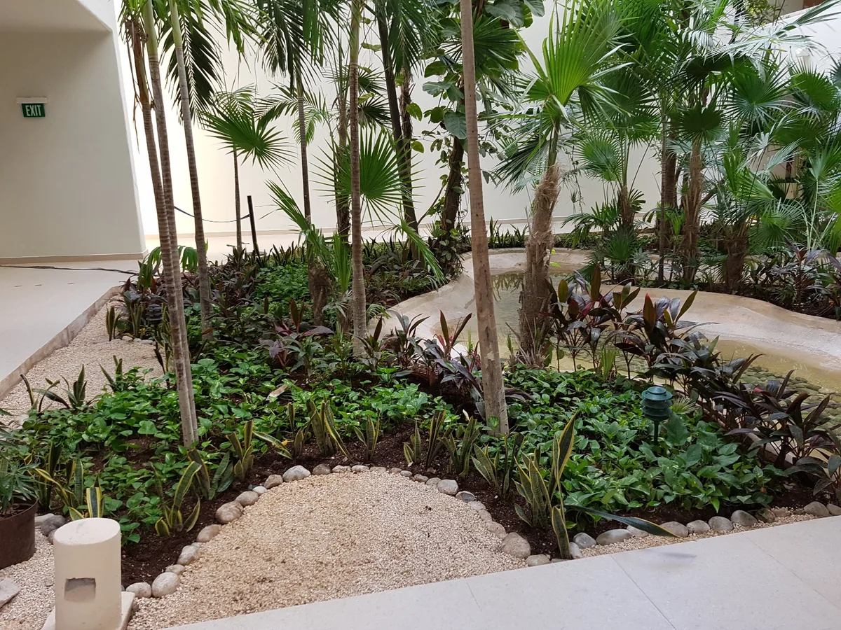 Hotel Fiesta Americana Condesa en Cancún: proyecto de paisaje documentado