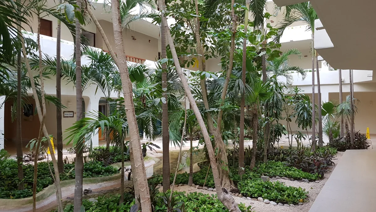 Vegetación integrada a Fiesta Americana Condesa