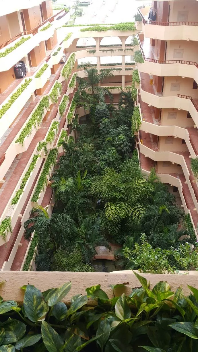 Otra vista de paisaje en Fiesta Americana Condesa