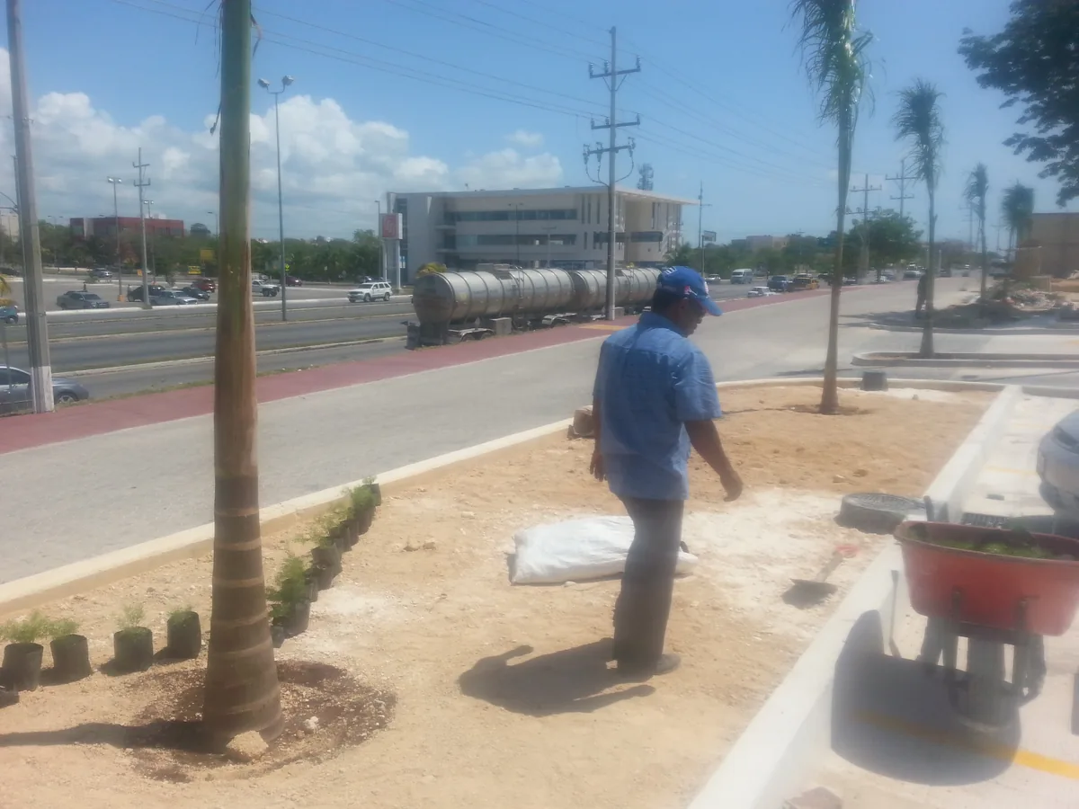Segunda zona de Plaza Playacar antes