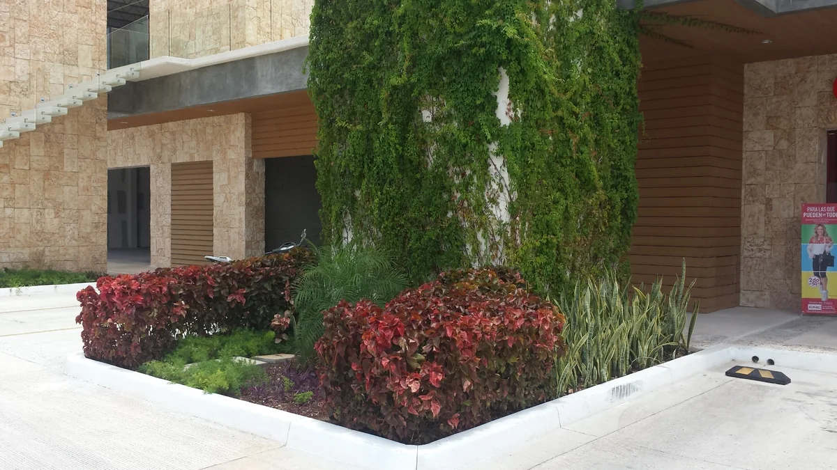 Jardinera de Plaza Playacar ocho meses después