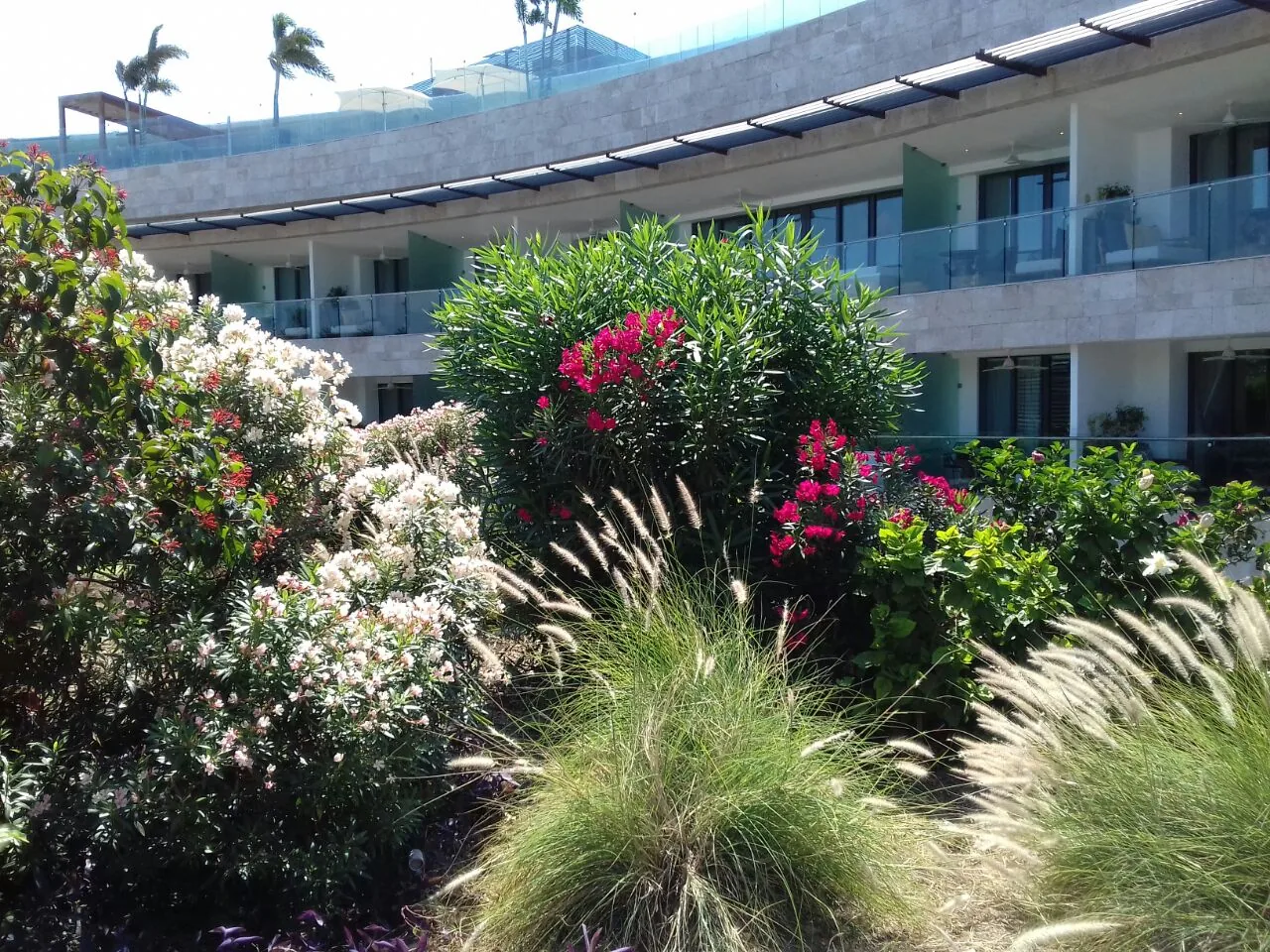 Landscaped condominium garden in the Riviera Maya