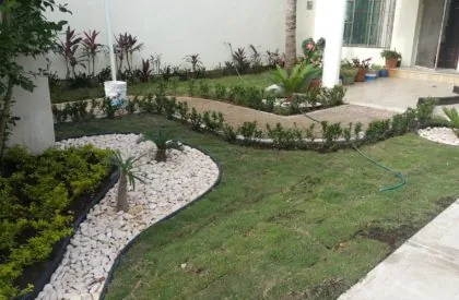 Real landscaped garden photographed by Verde In