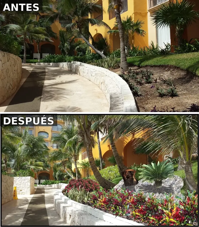 Renovación ecológica de paisaje residencial en zona Pakal, Riviera Maya