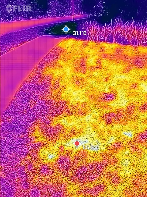 Termografía con puntos marcados de 55.3 °C y 31.1 °C.