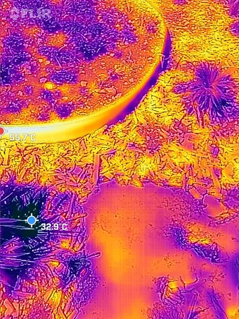 Termografía con puntos marcados de 55.7 °C y 32.9 °C.