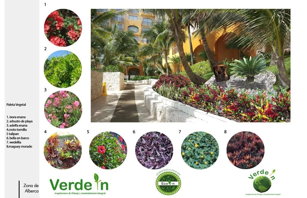 Servicio integral de mantenimiento de jardines y paisajismo en Cancún y Riviera Maya para hoteles y grandes superficies, con enfoque en eco-eficiencia y ahorro de agua.