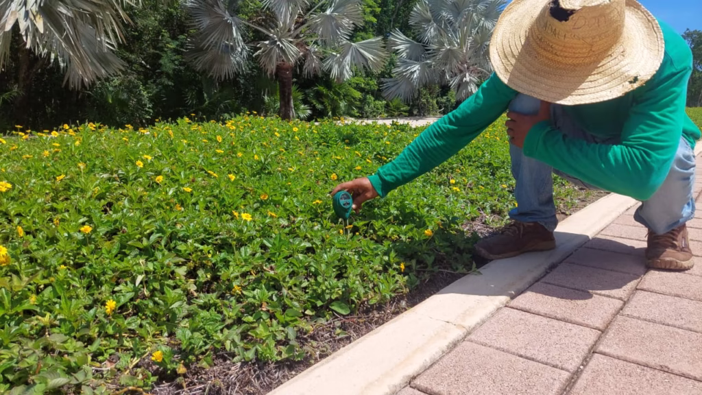 Condominios-playa-carmen