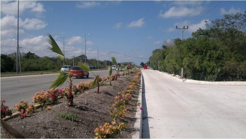 Proceso de instalación de paisaje y plantación de palmas y ornamentales en camellón central de desarrollo residencial en Riviera Maya.
