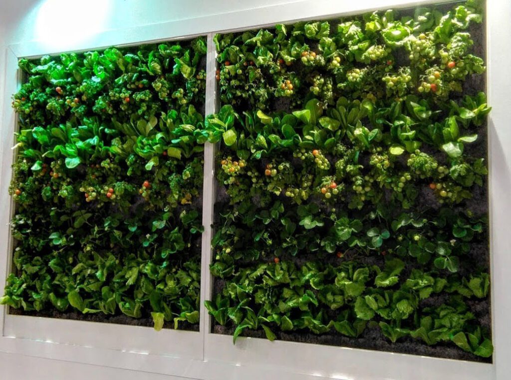 Jardín vertical interior en paneles enmarcados, cultivado con plantas comestibles como lechuga y fresas bajo iluminación artificial.