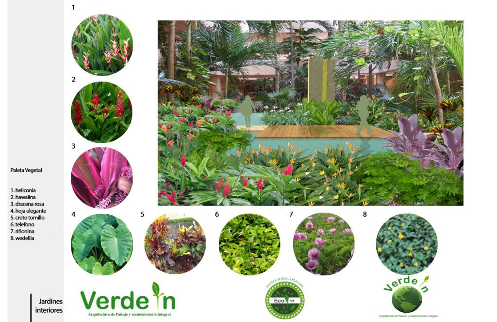 Render fotorrealista de jardín interior tropical con paleta vegetal de especies nativas como Heliconia y Hoja Elegante.