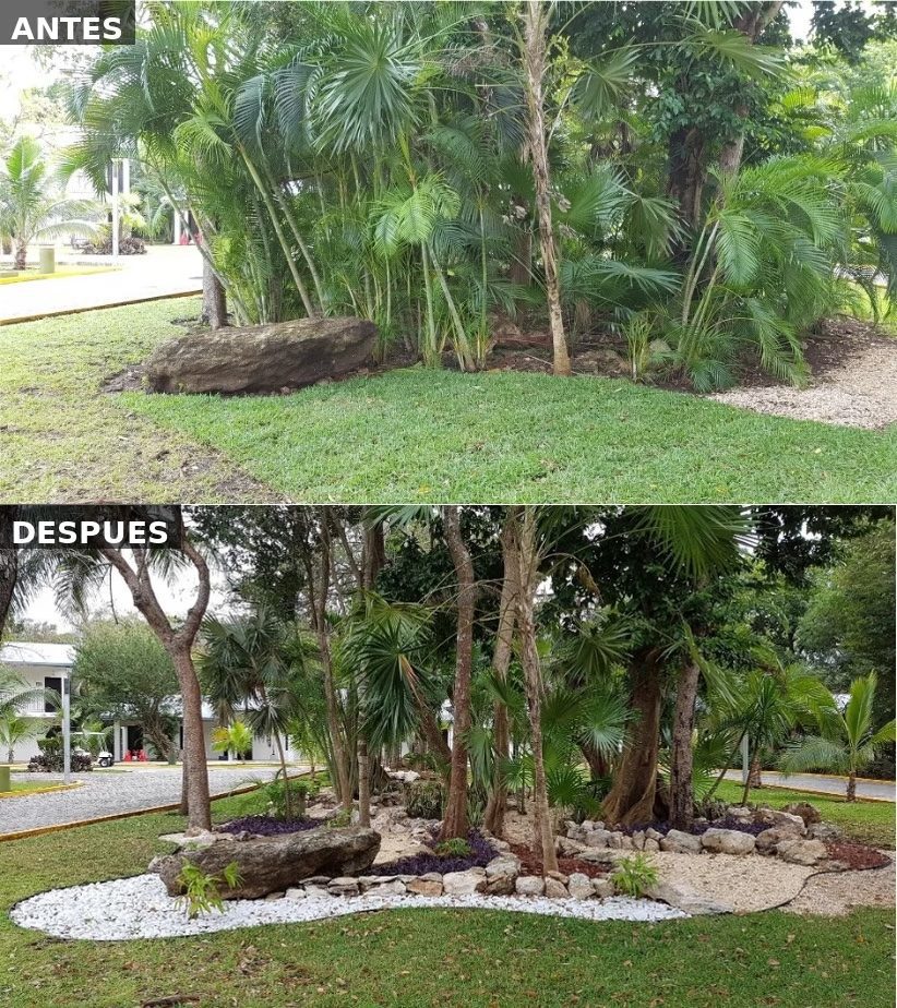 Paisajismo profesional y recuperación de áreas verdes en Hotel RIU Cancún